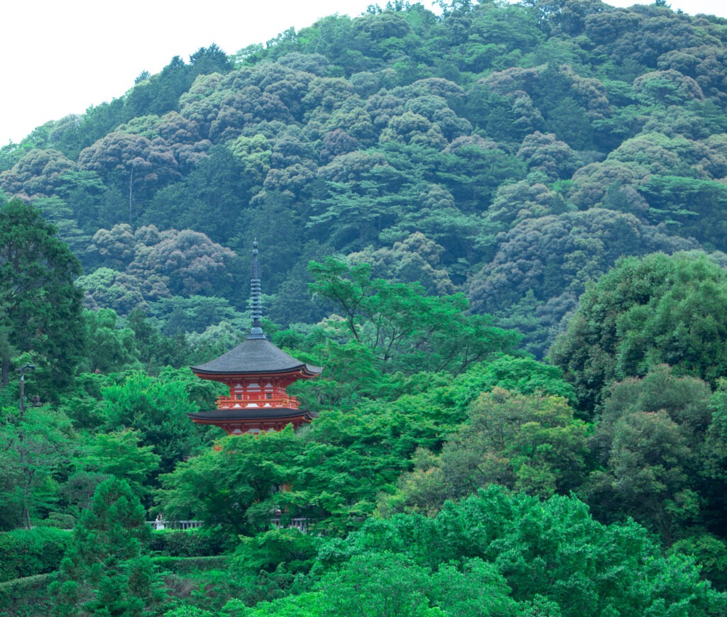 Temple in Kyoto