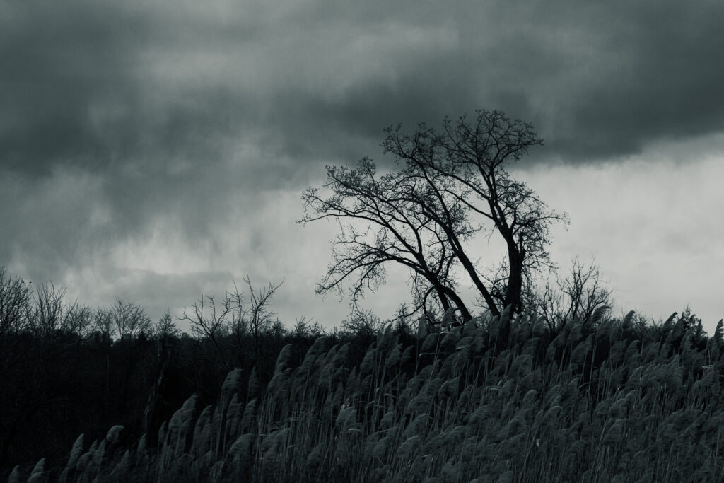 Wind and Wuthering